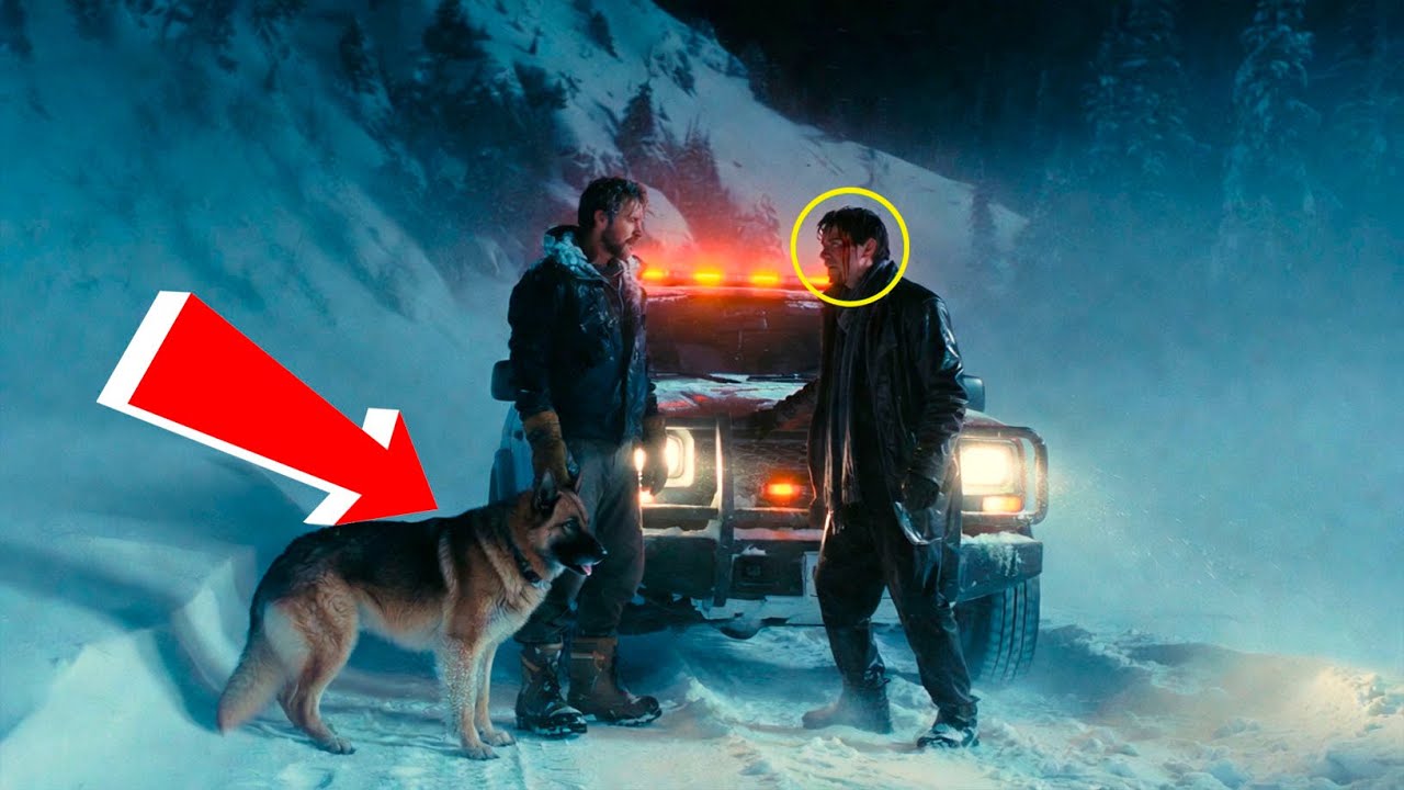 Er fror allein im Schnee… dann folgten ein Navy-SEAL und sein Hund Gottes leisem Ruf