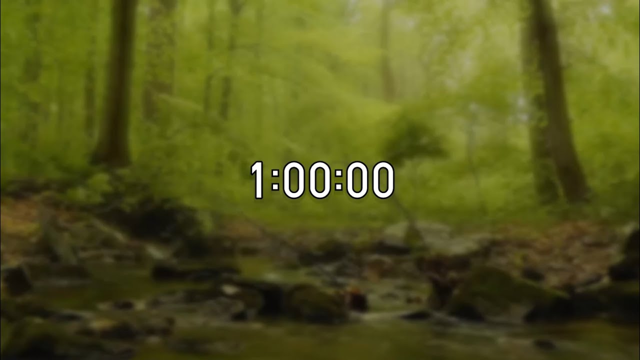 1 Hour Timer with Nature Sounds - Countdown Timer