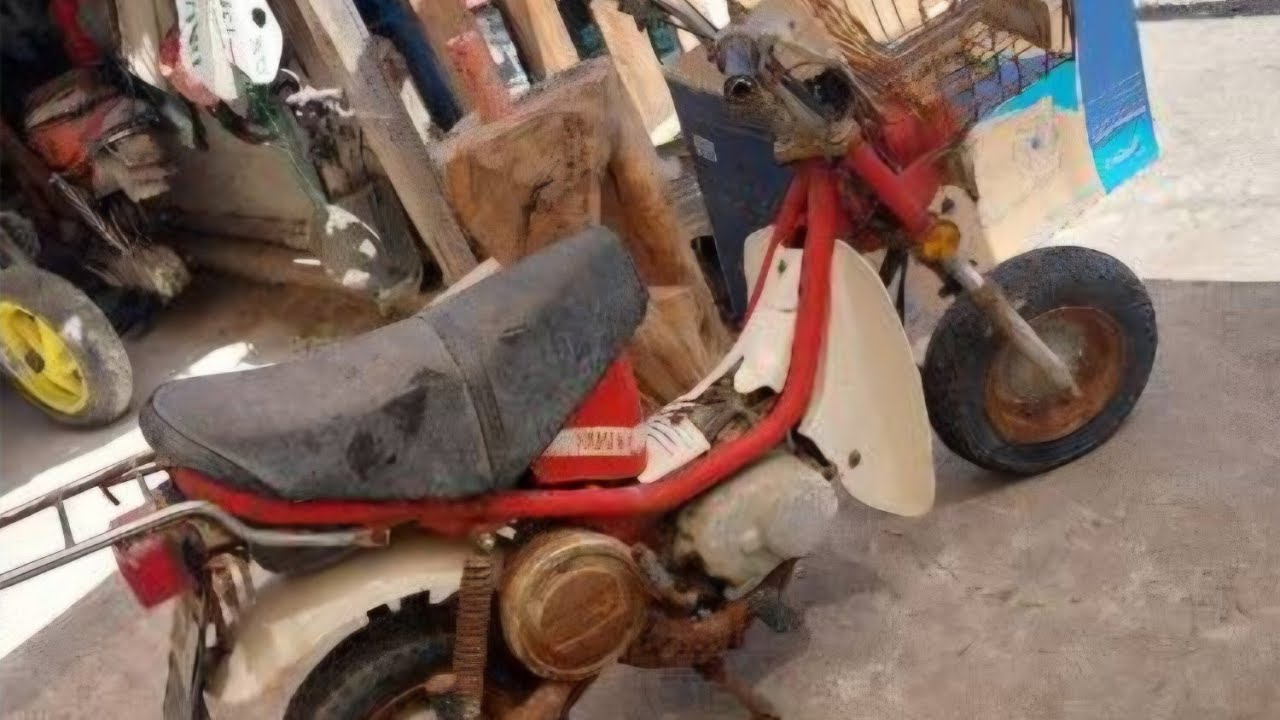 YAMAHA CHAPPY LB50 FROM AUTOMATIC TO 3 SPEEDS FULLY RESTORED (RED) 🦅