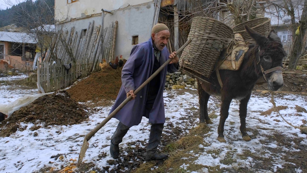 Yaşlı Çiftin Kış Yaşamı - Belgesel