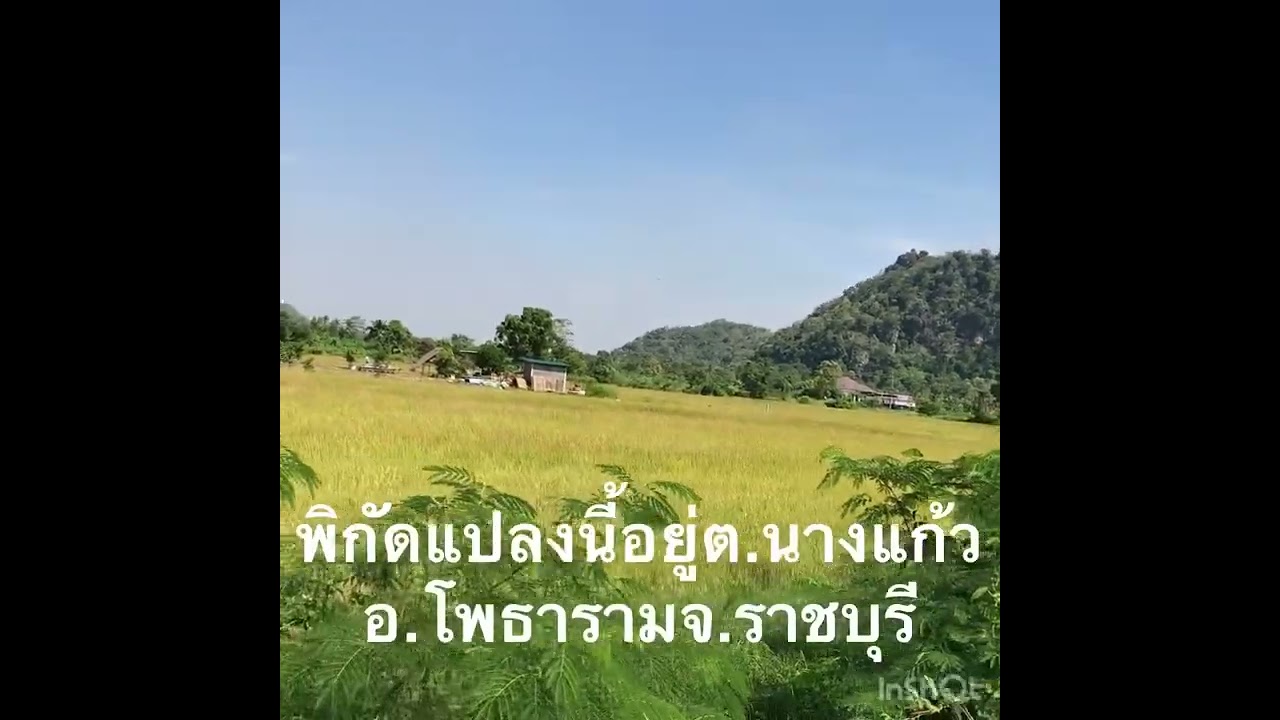 ที่นาวิวเขาสวยรอบๆติดลาดยางน้ำไฟพร้อม2ไร่3งานต.นางแก้วอ.โพธารามจ.ราชบุรี