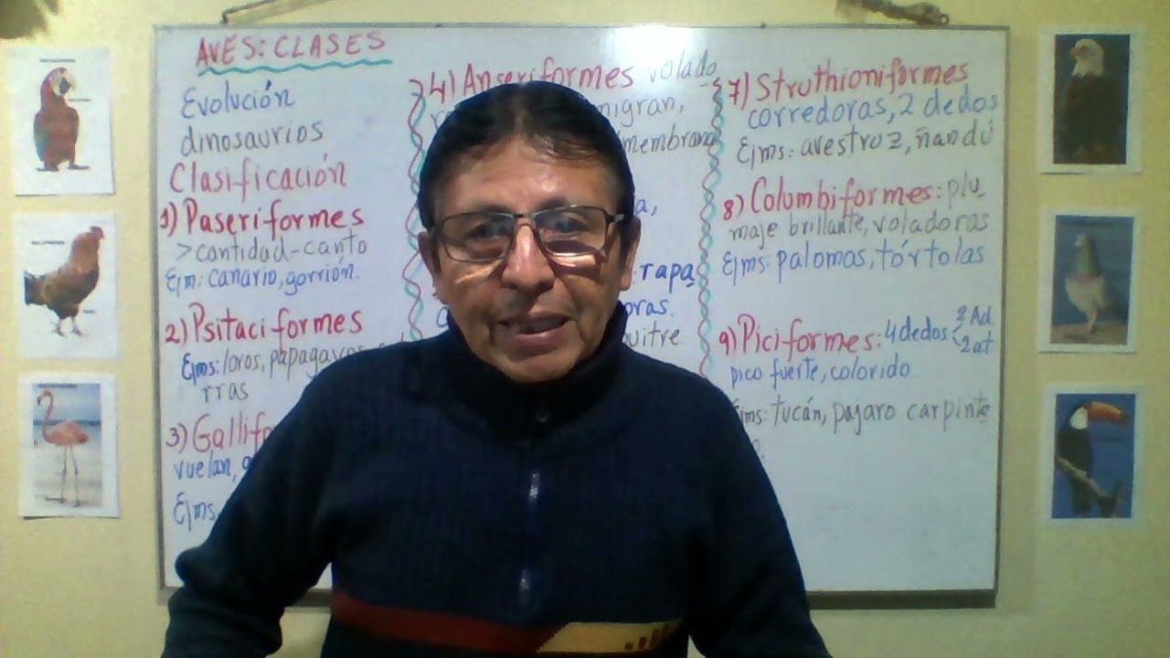 CLASE 3e : BIOLOGÍA 1° - CLASIFICACIÓN DE LAS AVES