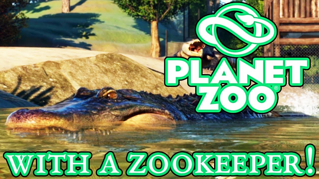 Planet Zoo with a ZOOKEEPER! - Building an American Alligator enclosure! - Planet Zoo