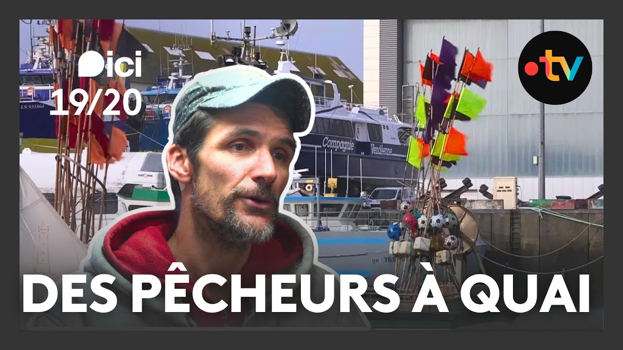 Pêche à l’arrêt dans le golfe de Gascogne : dauphins protégés, filière sous pression