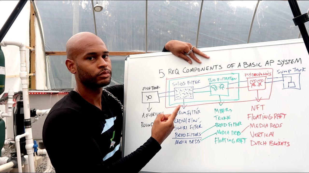 AQUAPONICS: THE 5 REQUIRED COMPONENTS OF A BASIC AQUAPONICS SYSTEM