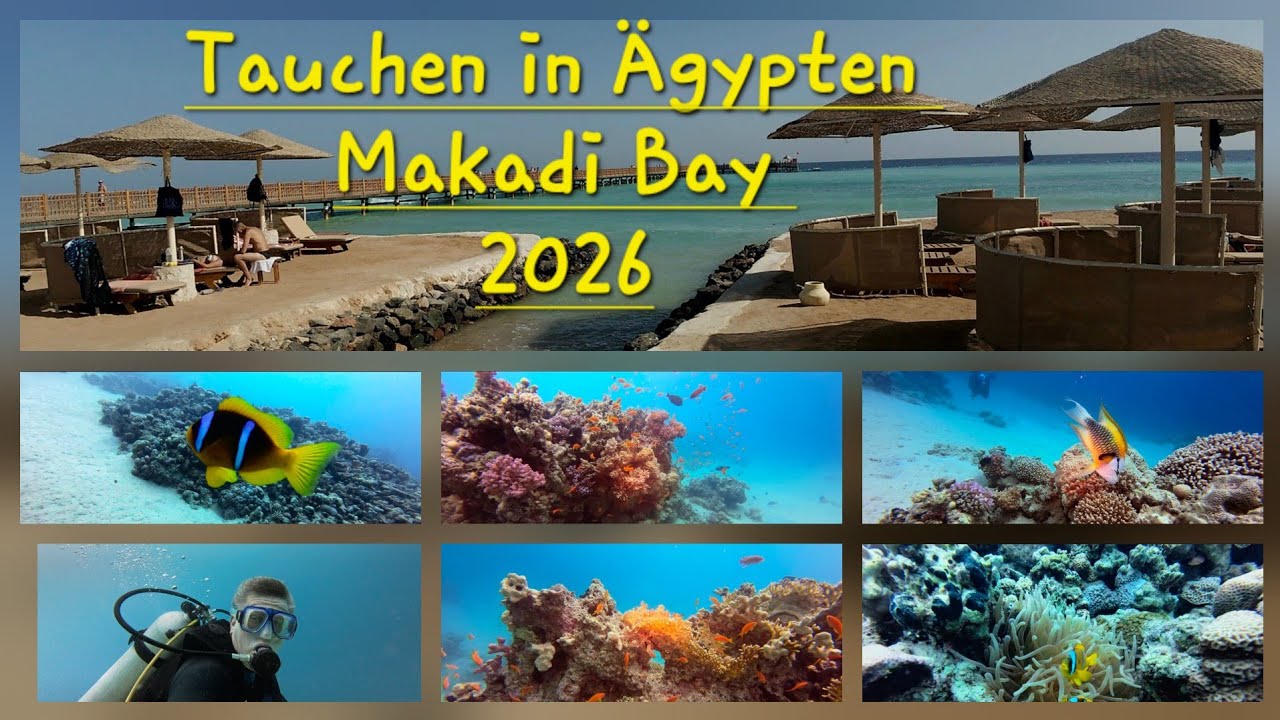 2026 Tauchen in Ägypten, Makadi Bay,  Hausriff vor Hotel Makadi Palace  Hurghada - Diving in Egypt 