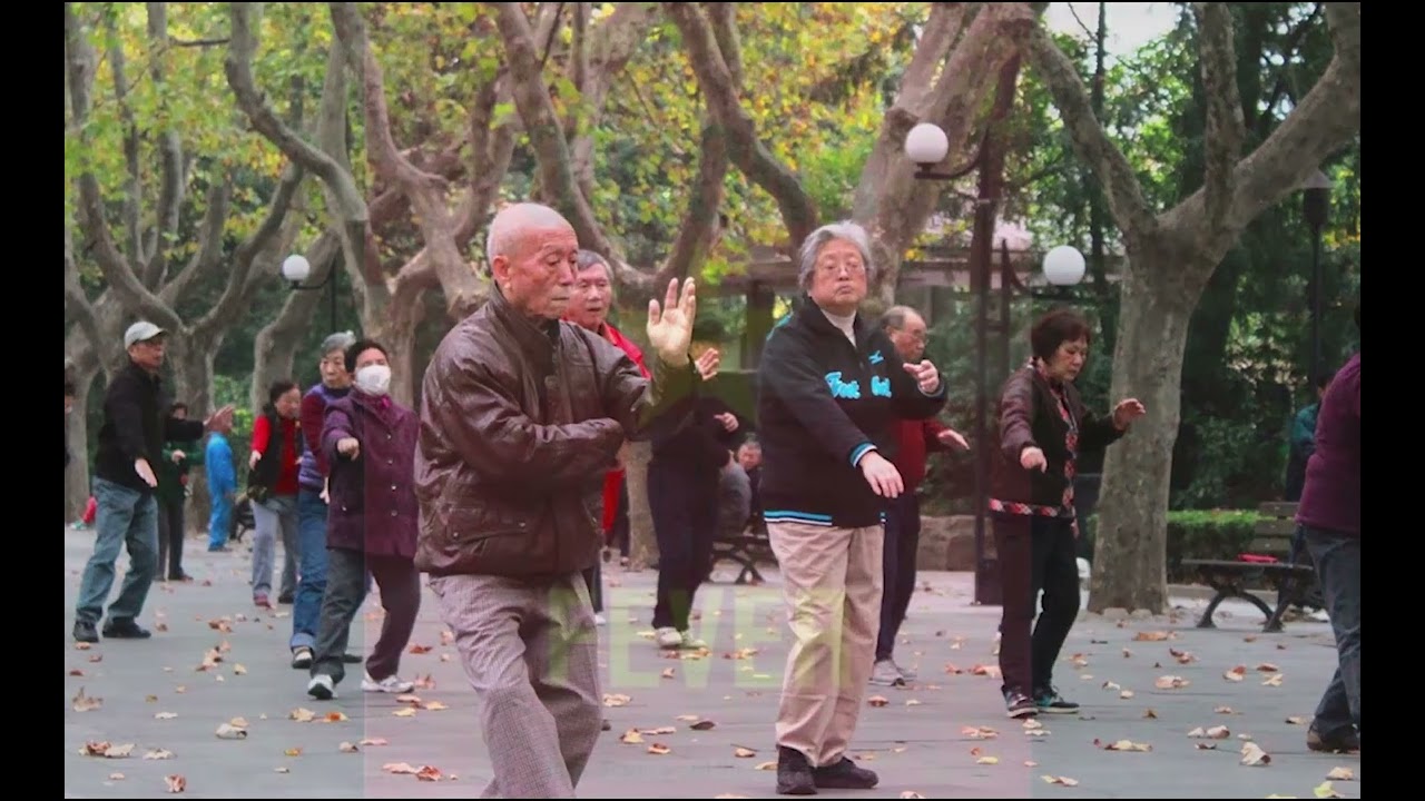 History of qigong   part 2