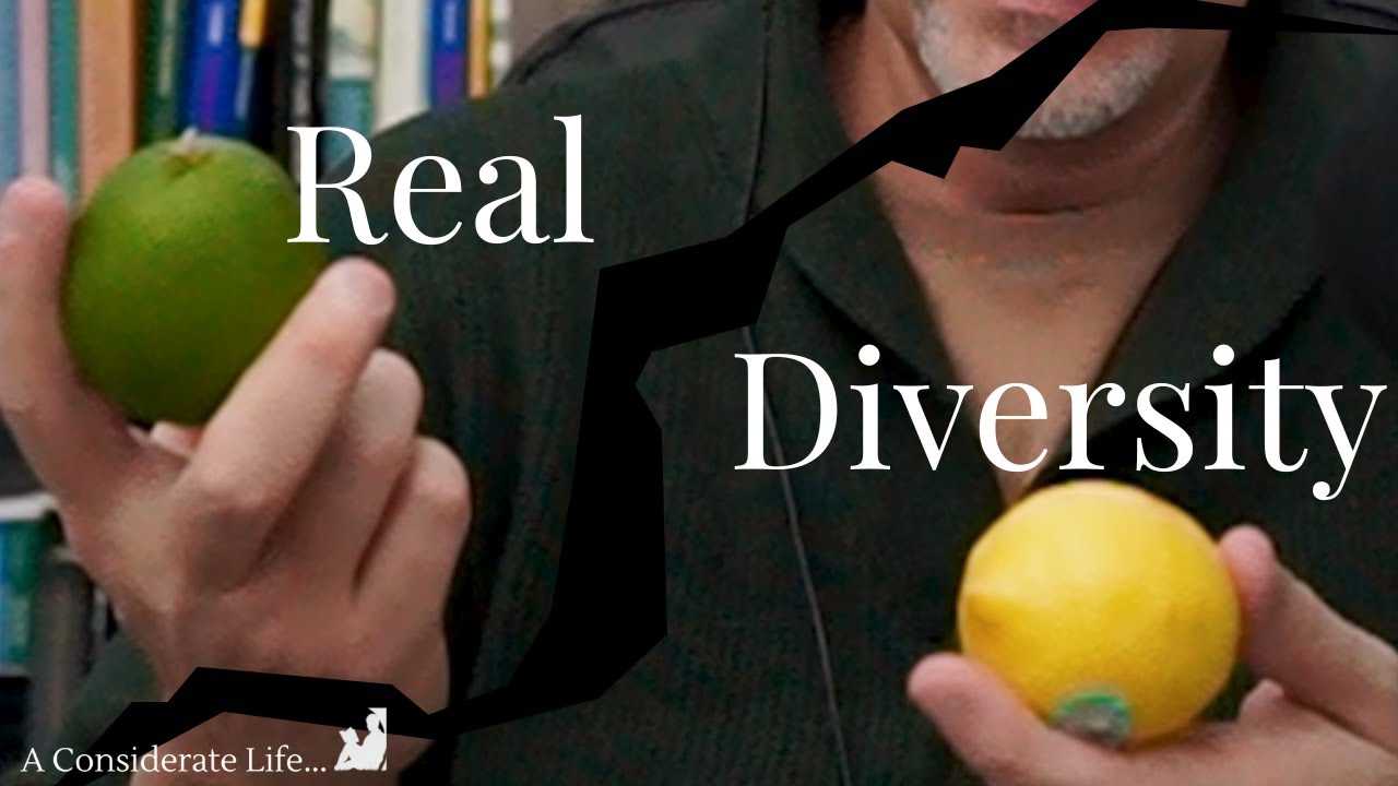 Real Diversity: Understanding the nature of Diversity and Its Implications for Christian Attitudes