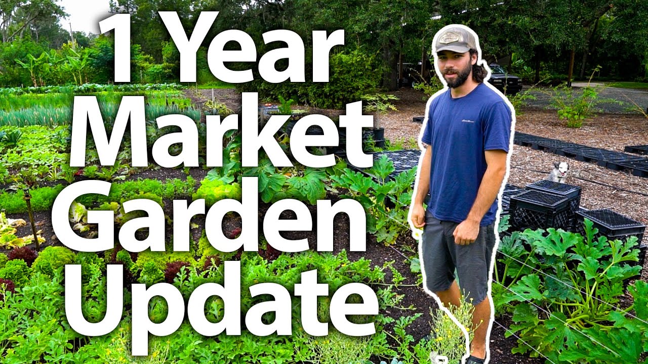 Сегодня исполняется год с начала работы нашего огорода! 👨‍🌾🌽🍅🥕