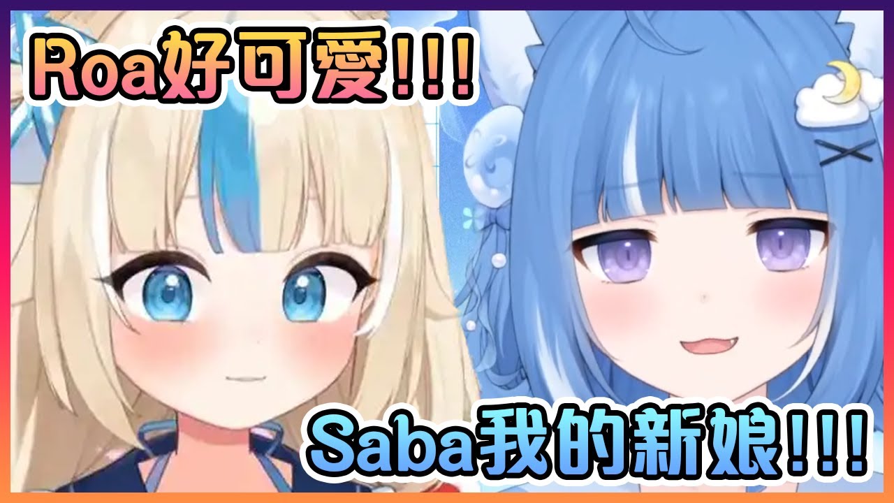 這隻剛出道的流浪貓已經表示要娶Saba做老婆了www【VTuber中文】
