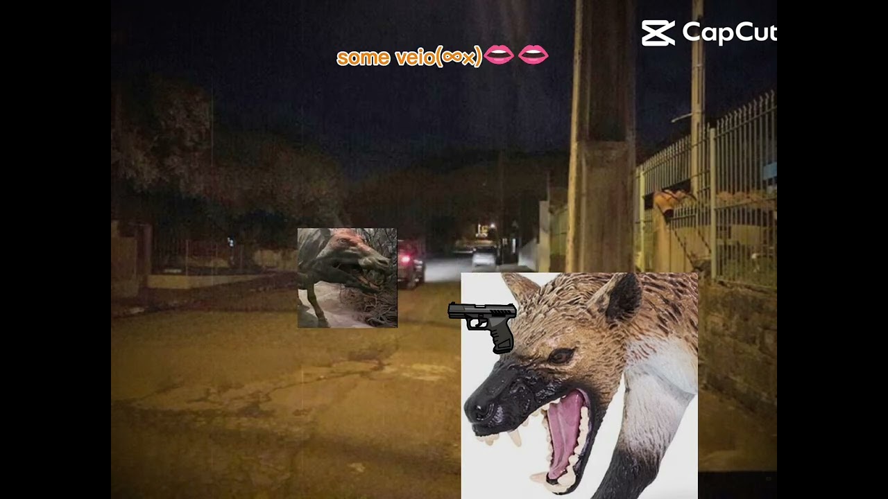 13 de fevereiro de 2026