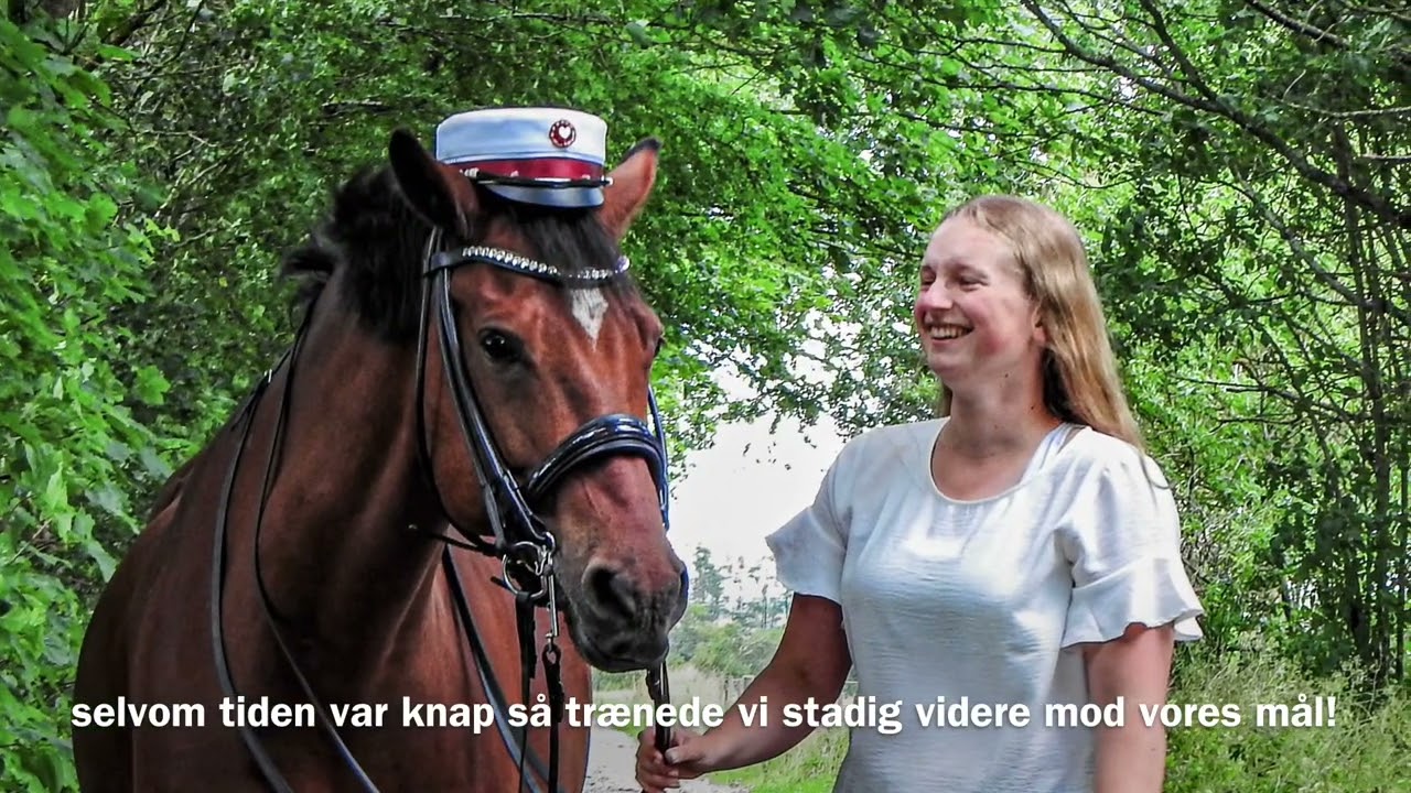 Året der gik 2023