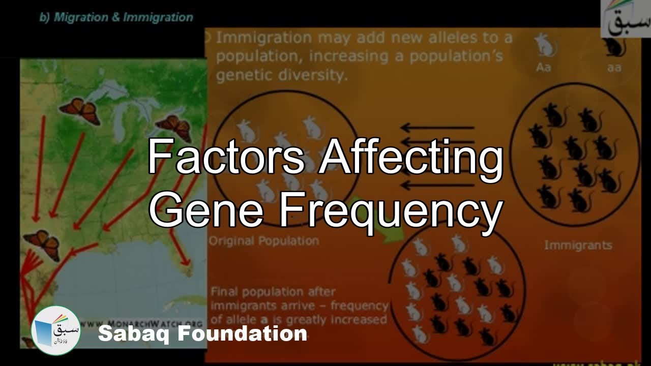 Factors Affecting Gene Frequency, Biology Lecture | Sabaq.pk