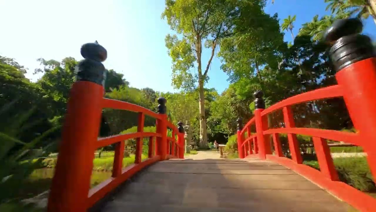 FPV Drone no Jardim Botânico Rio de Janeiro