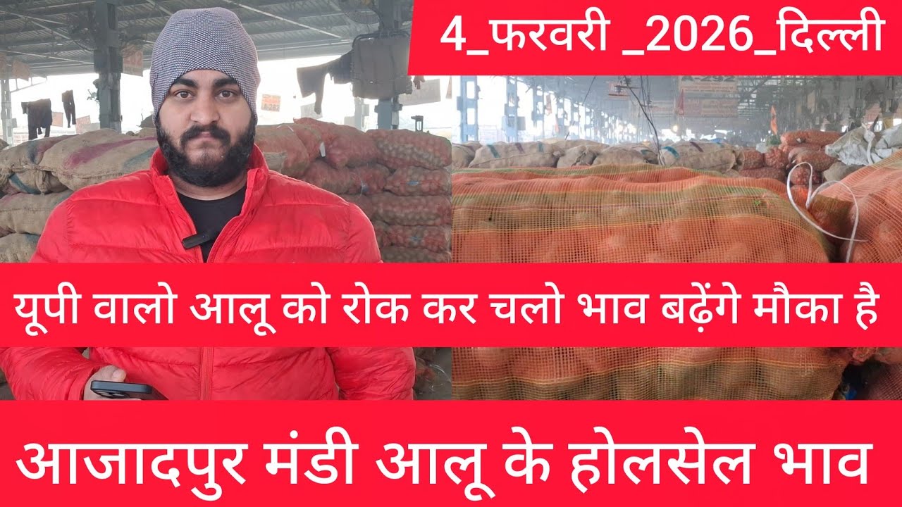 February 4, 2026 दिल्ली 🥔आलू के भाव Azadpur Delhi mandi today #PotatoMarket #delhipotatomarket 