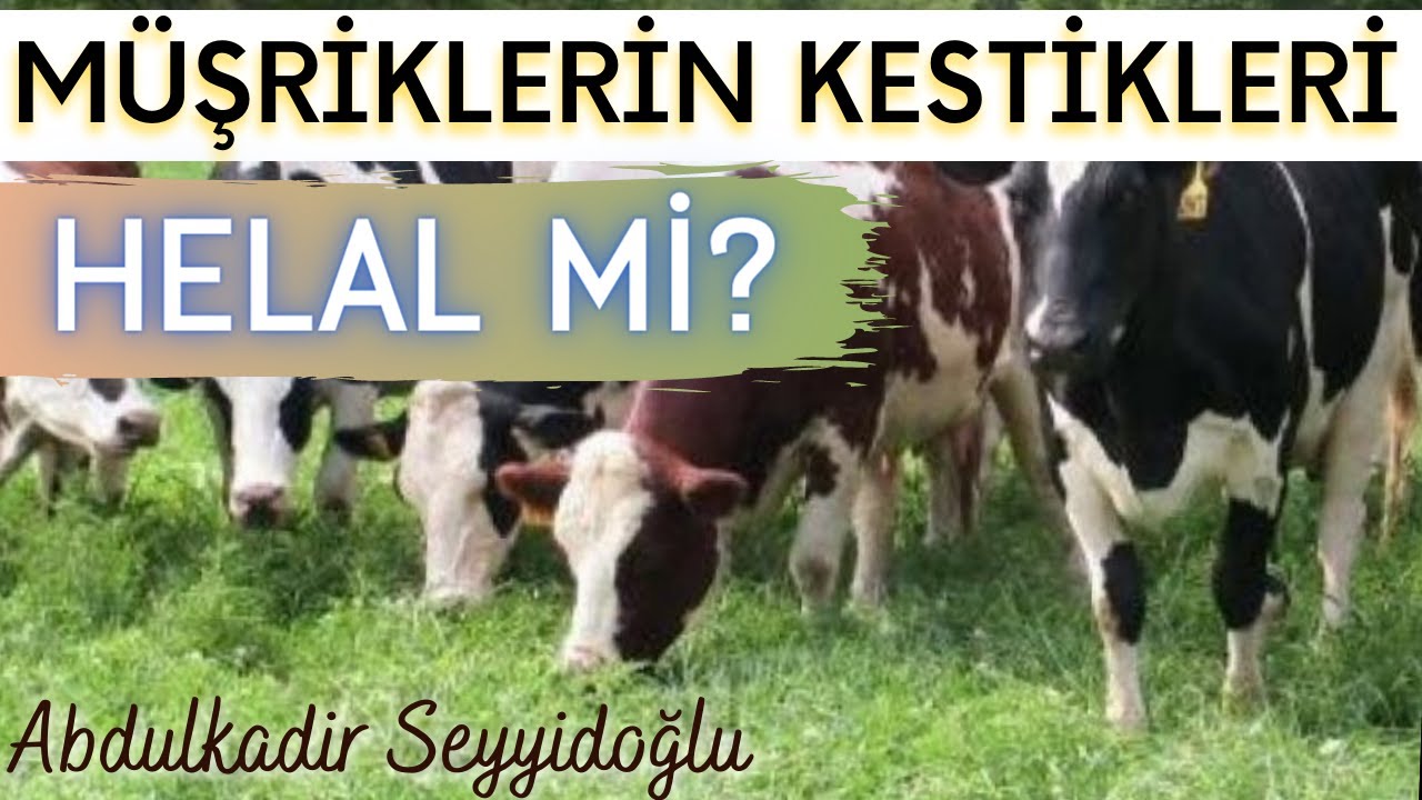 Müşriklerin Kestikleri Etler Yenilir mi? | Abdulkadir Seyyidoğlu