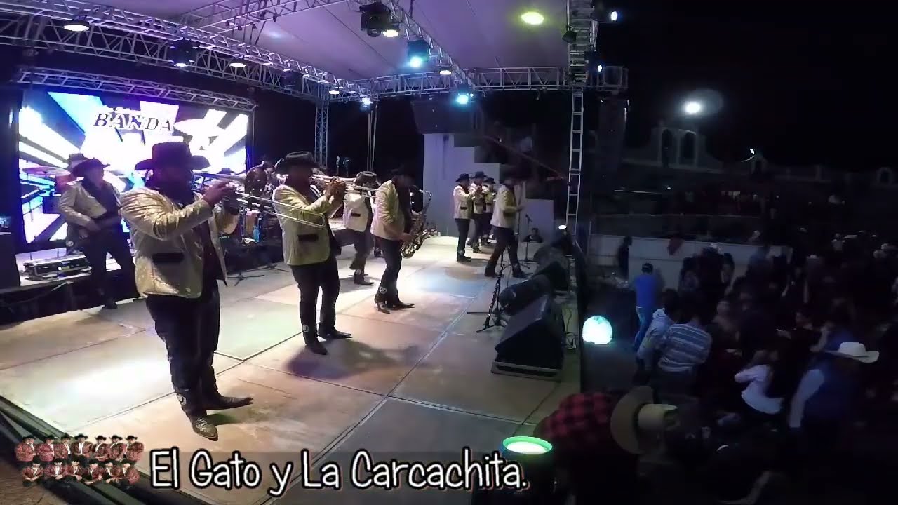 el gato y la carcachita banda ráfaga (en vivo)