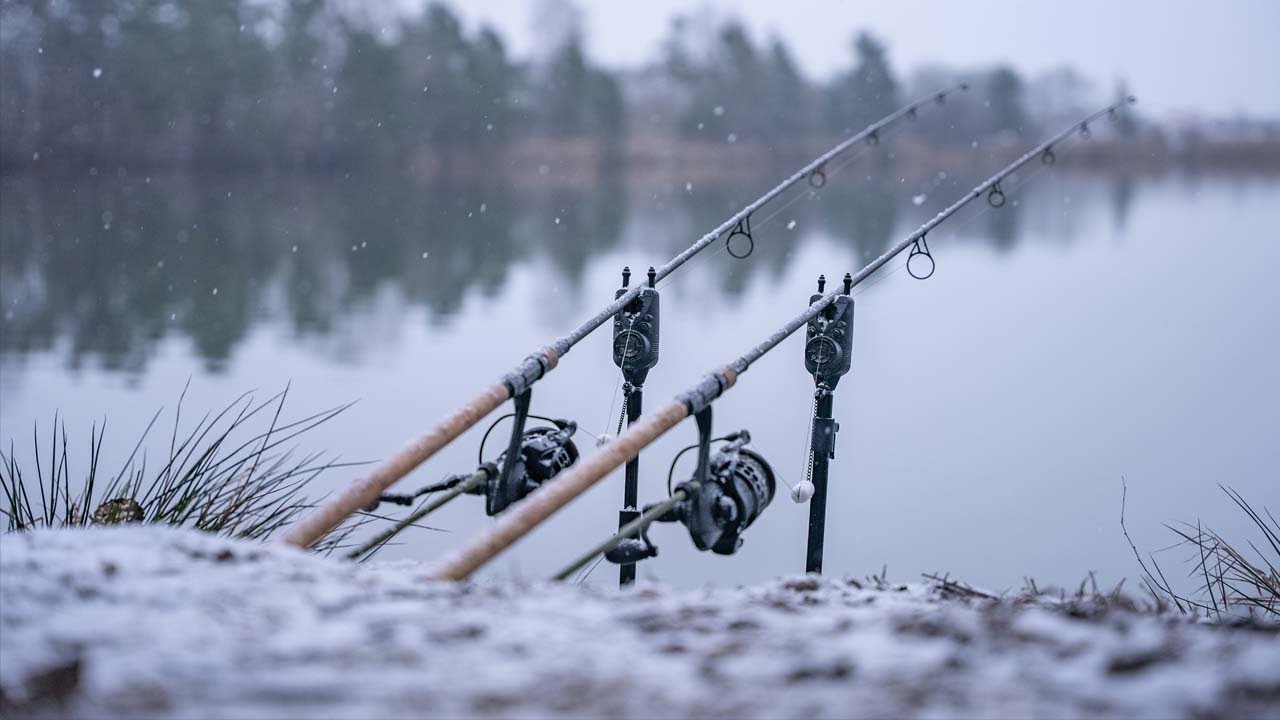 Karpfen Angeln im Winter I Mission Winterkarpfen Folge 2