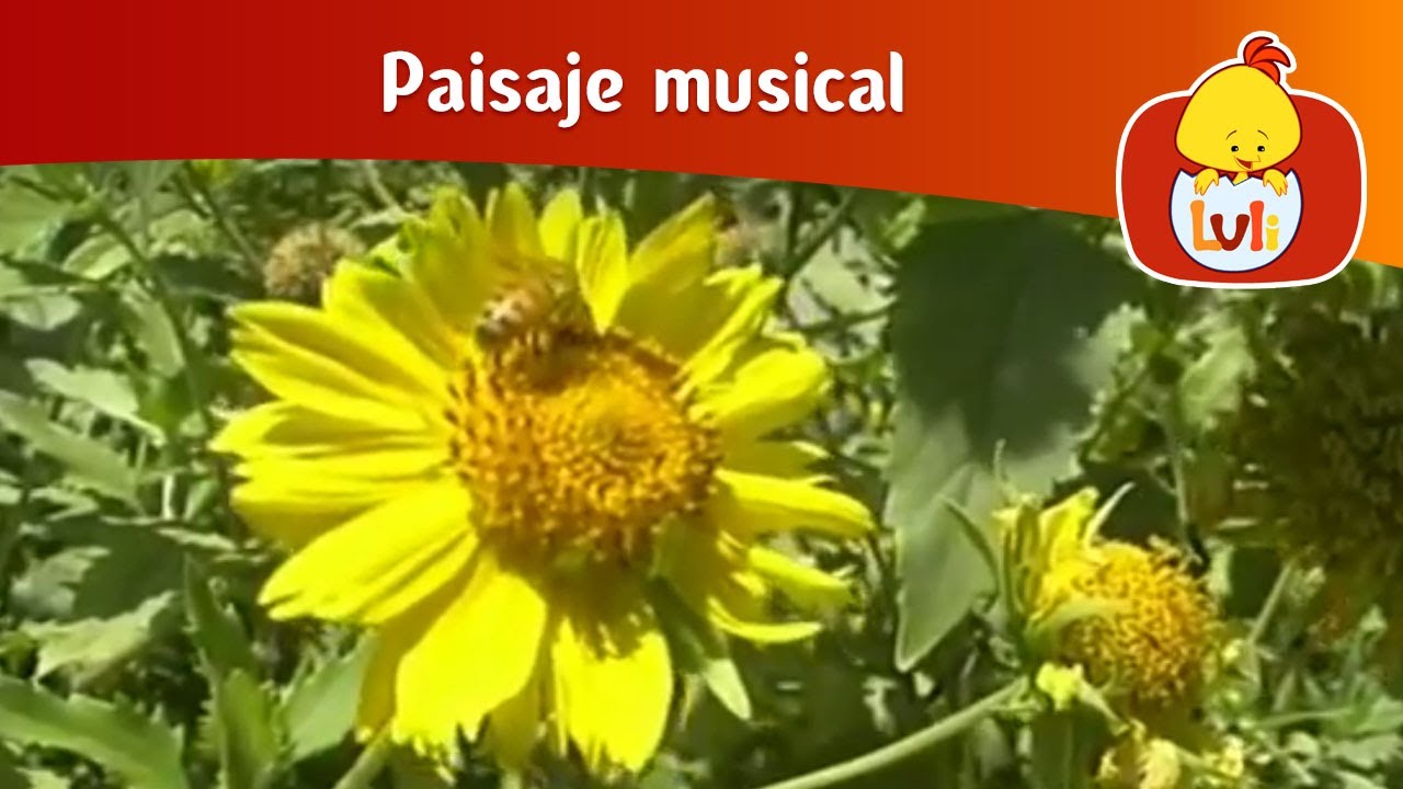 Paisaje musical: Flores e insectos - Frutas, para niños - Non