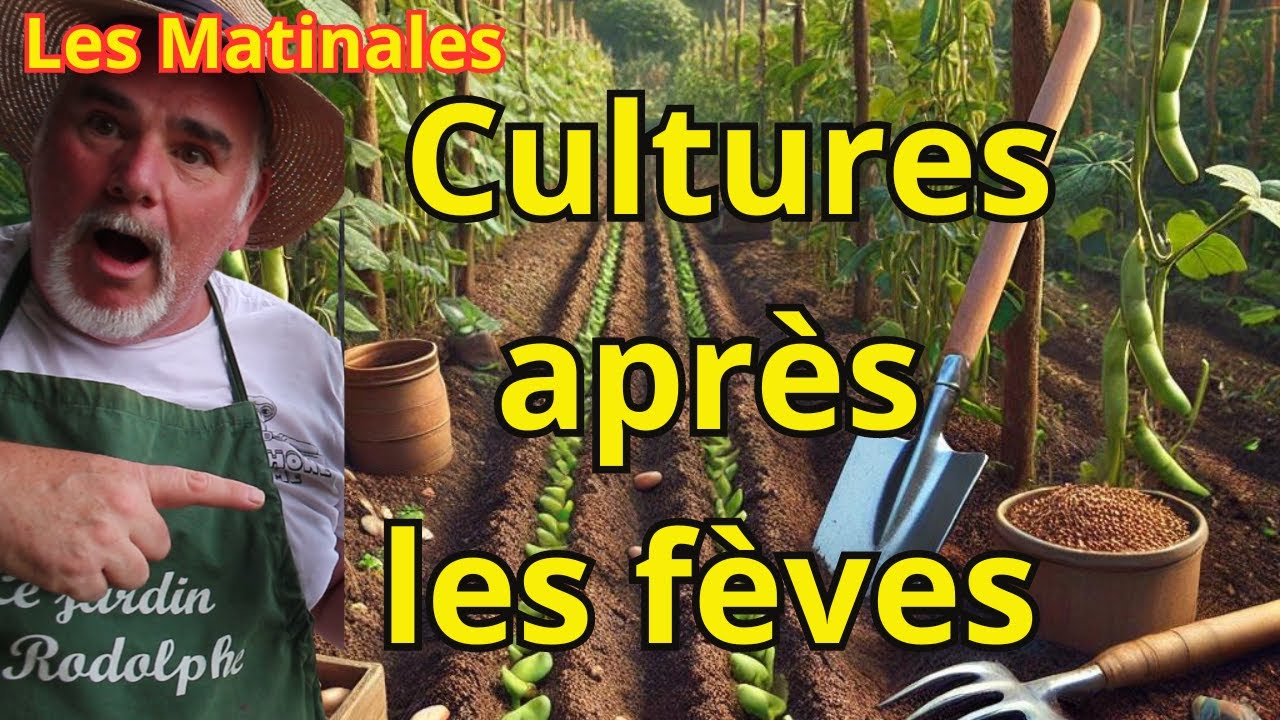 Rotation des cultures : Que semer apr&egrave;s les f&egrave;ves pour optimiser votre potager?