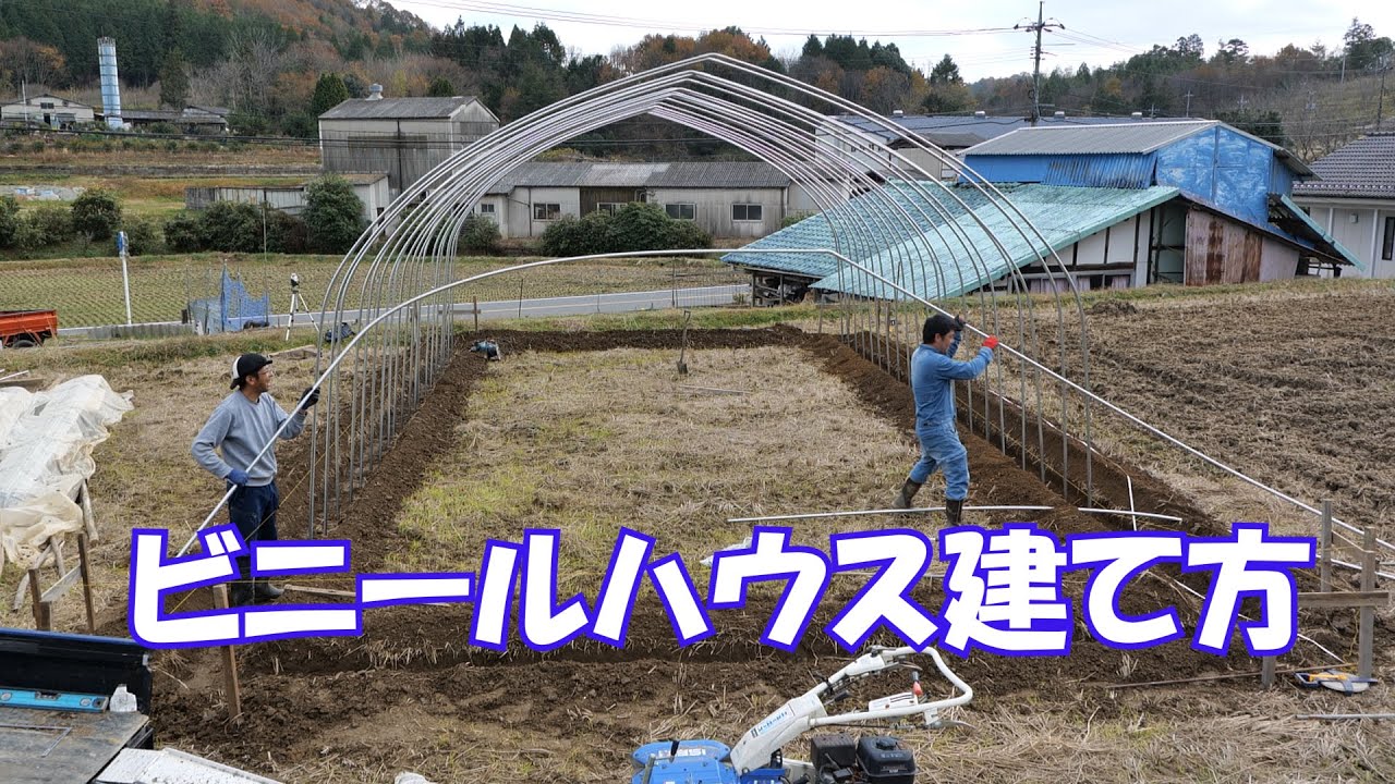 ビニールハウスの建て方①20/11/22＃1108