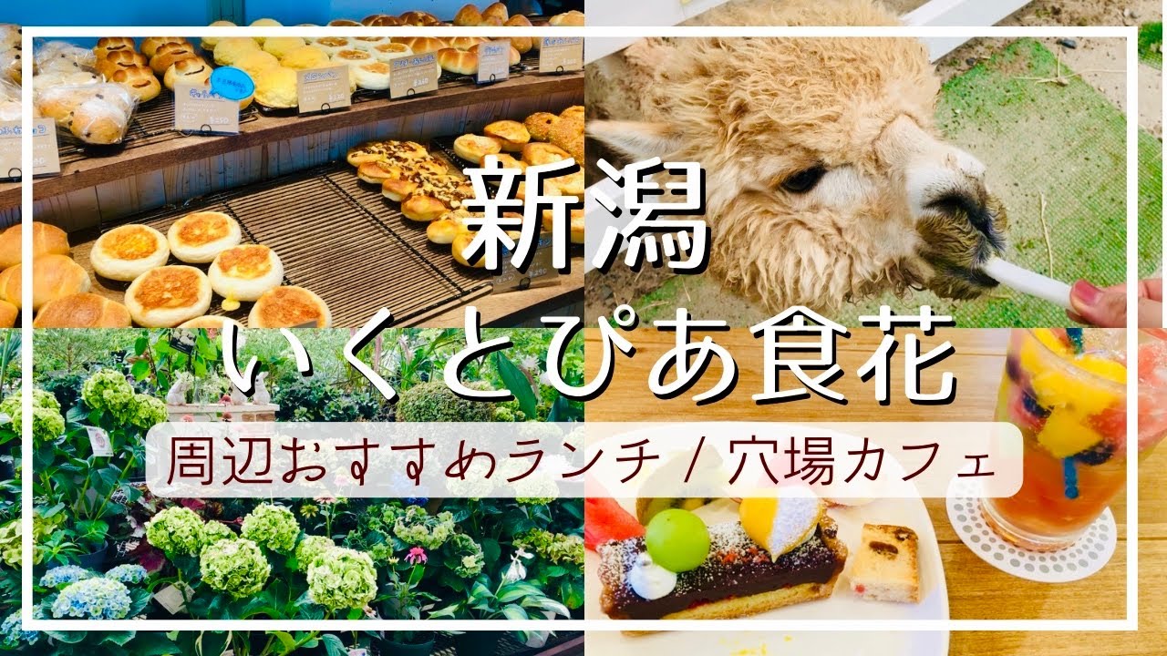 【新潟観光】大人も子供も楽しめる！動物ふれあいと食育を学ぶ体験型施設/公園内ランチと穴場カフェ【vlog】