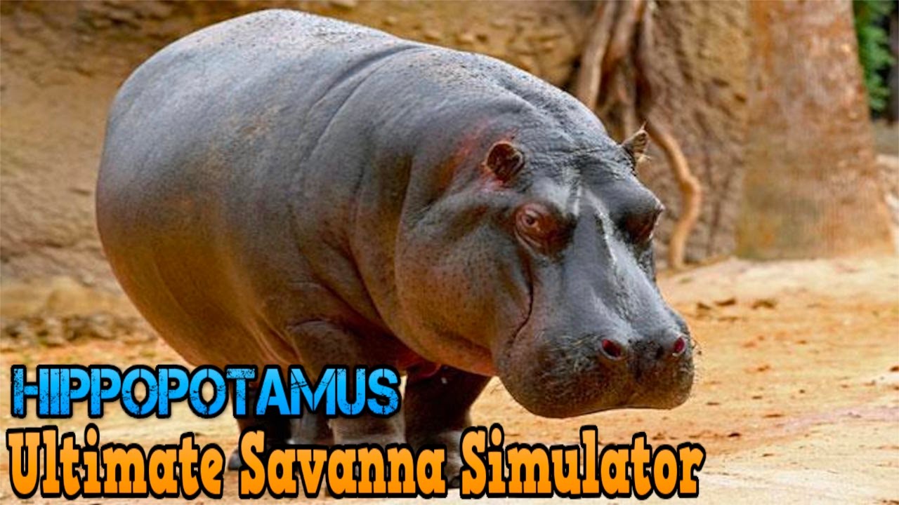 Ultimate Savanna Simulator #Hippopotamus By Gluten Free Games Action & Adventure iTunes/Android