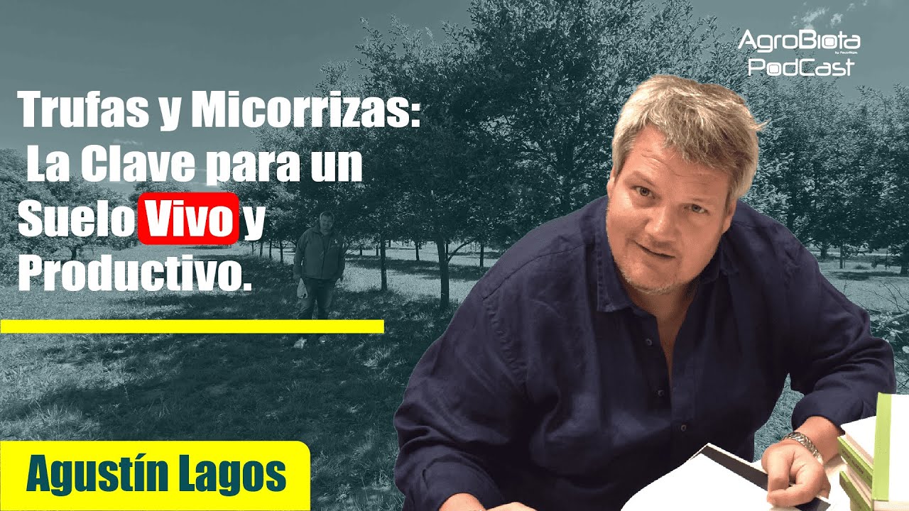 Trufas y Micorrizas: La Clave para un Suelo Vivo y Productivo
