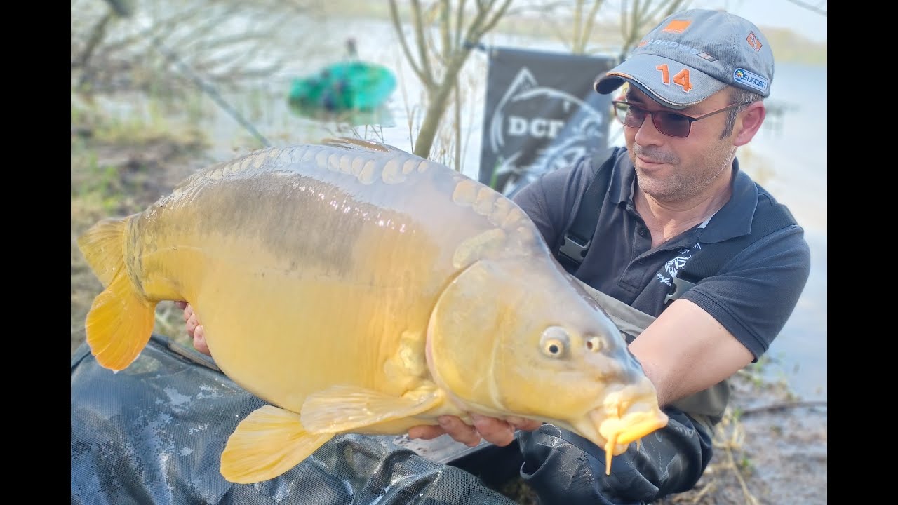 Pèche à la carpe Dream carpfishing Le lac au Duc