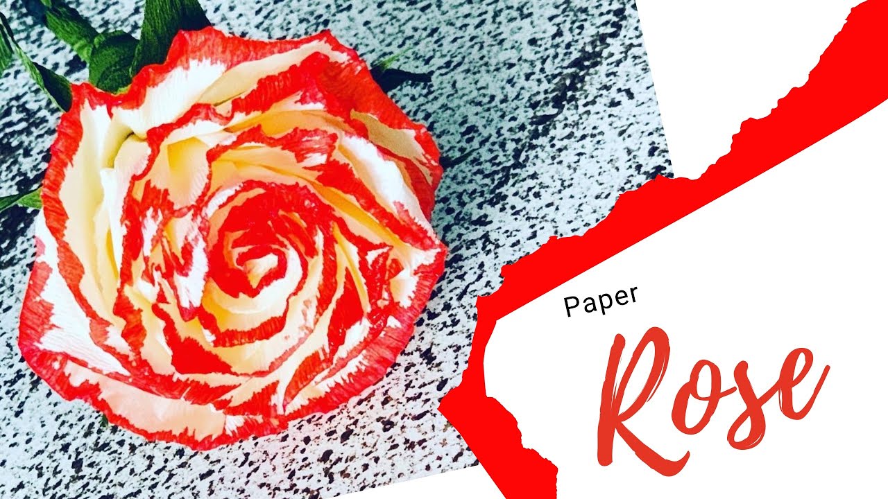 Crepe Paper Rose