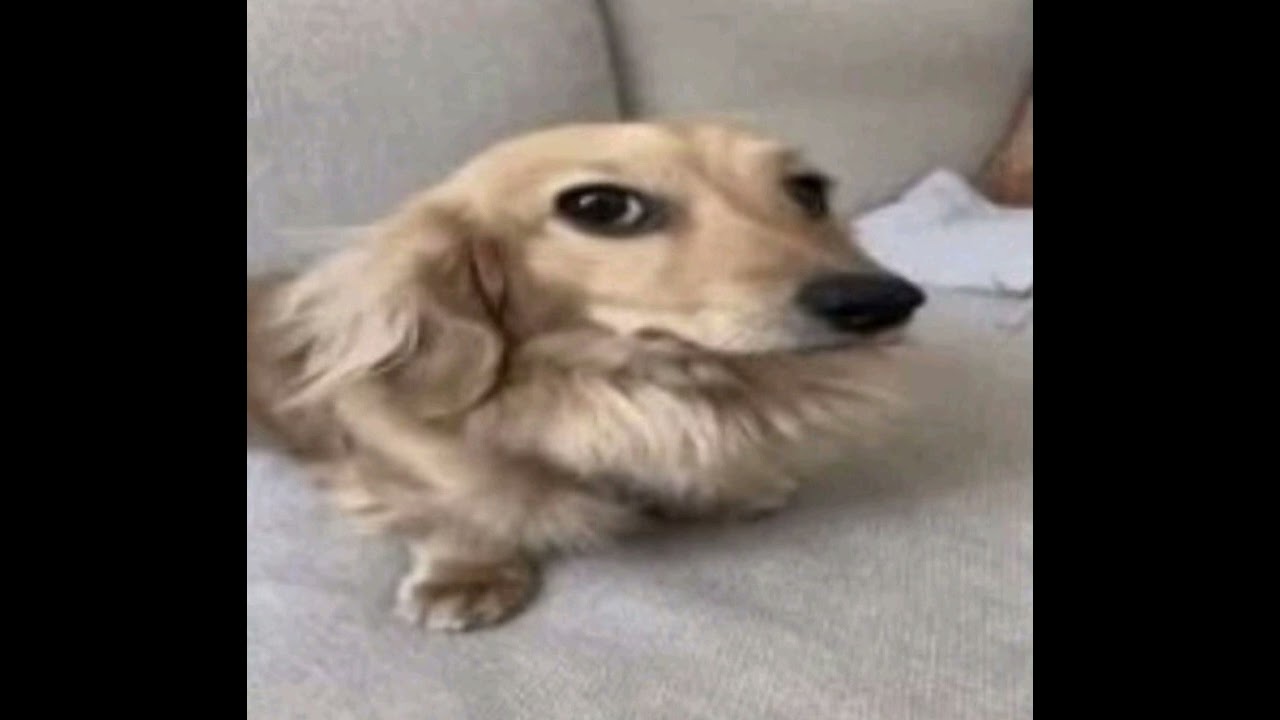Face wassup x better of alone 