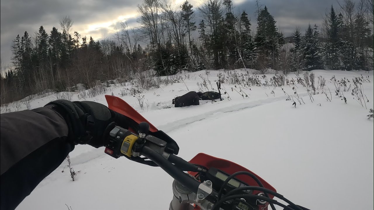 Timbersled - Widescape - Dad