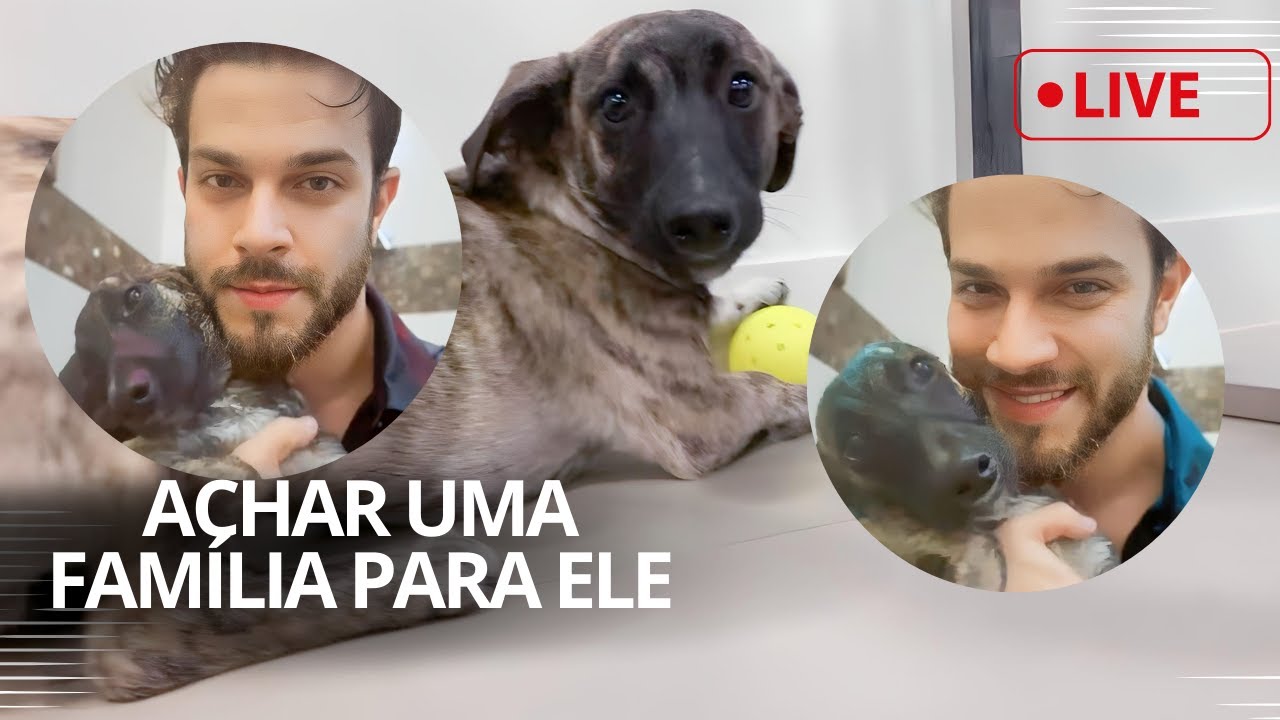 Vamos achar uma família pra ele!