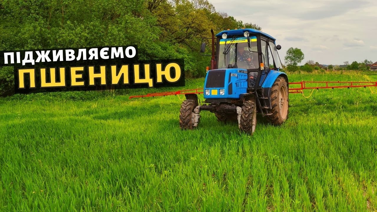 Підживлення пшениці по листку. Збільшуємо врожайність до 6-7 т/га.  Гербіцидна обробка пшениці!