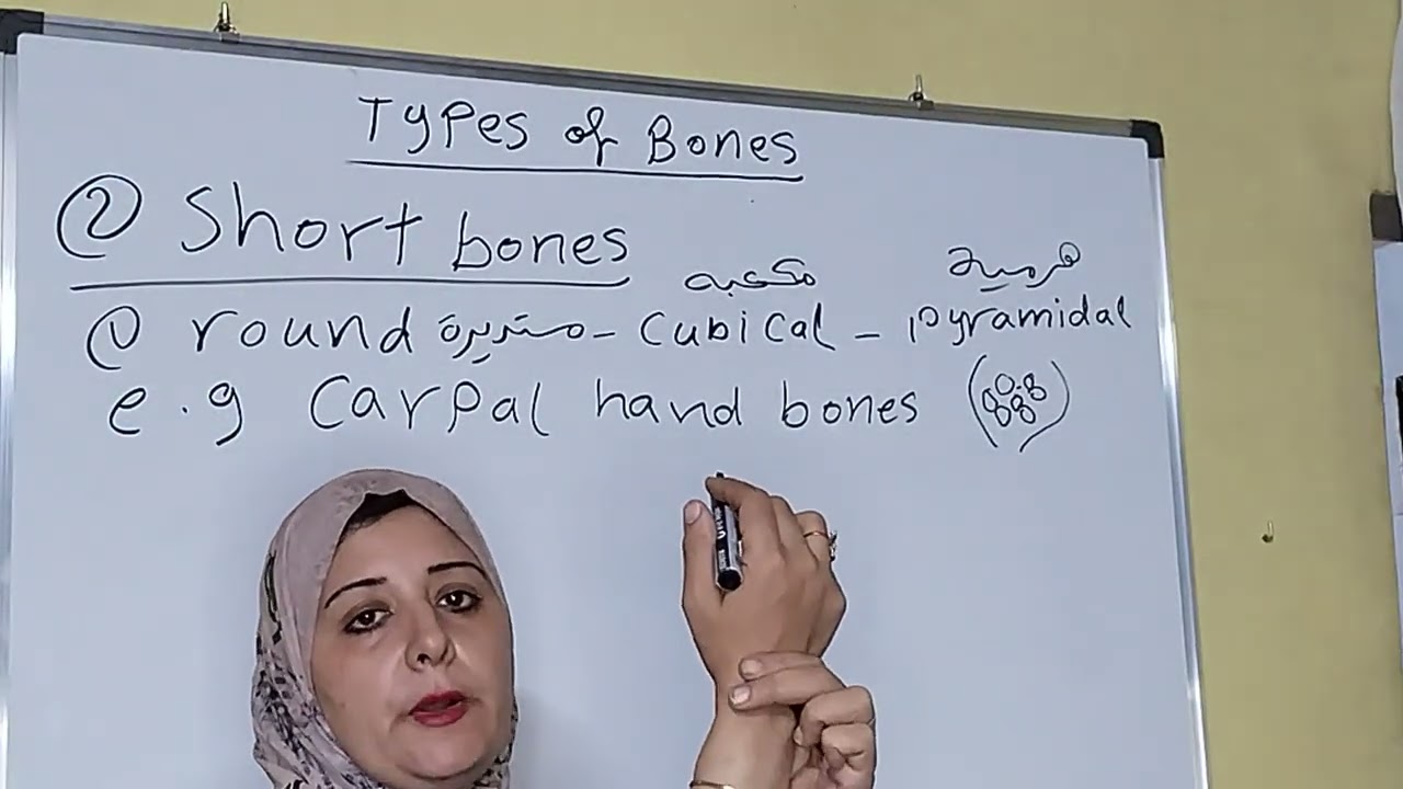 تشريح للصف الاول تمريض 