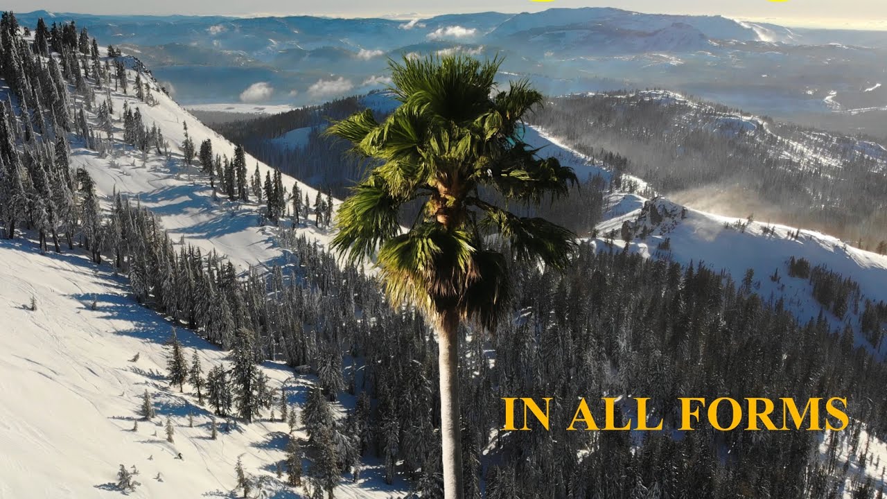 IN ALL FORMS (A Surf + Ski Film)