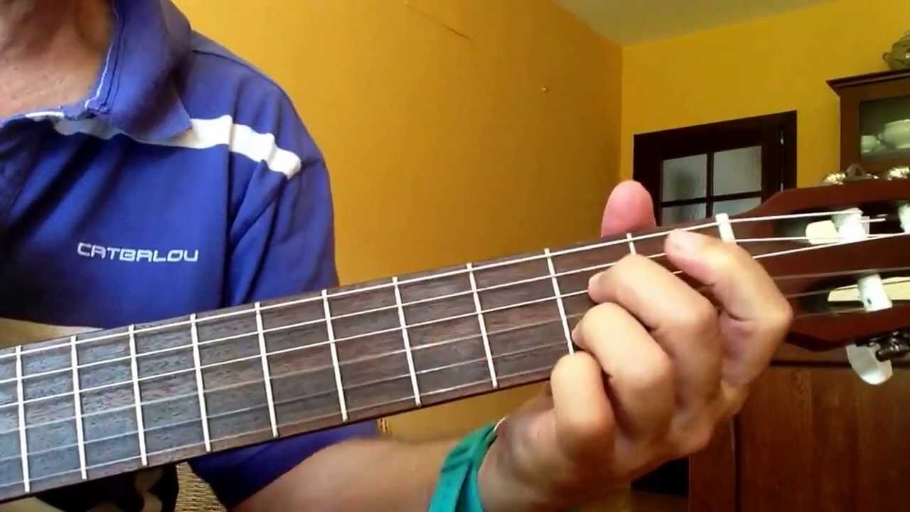 Petite Fleur Guitar Chords 2.0
