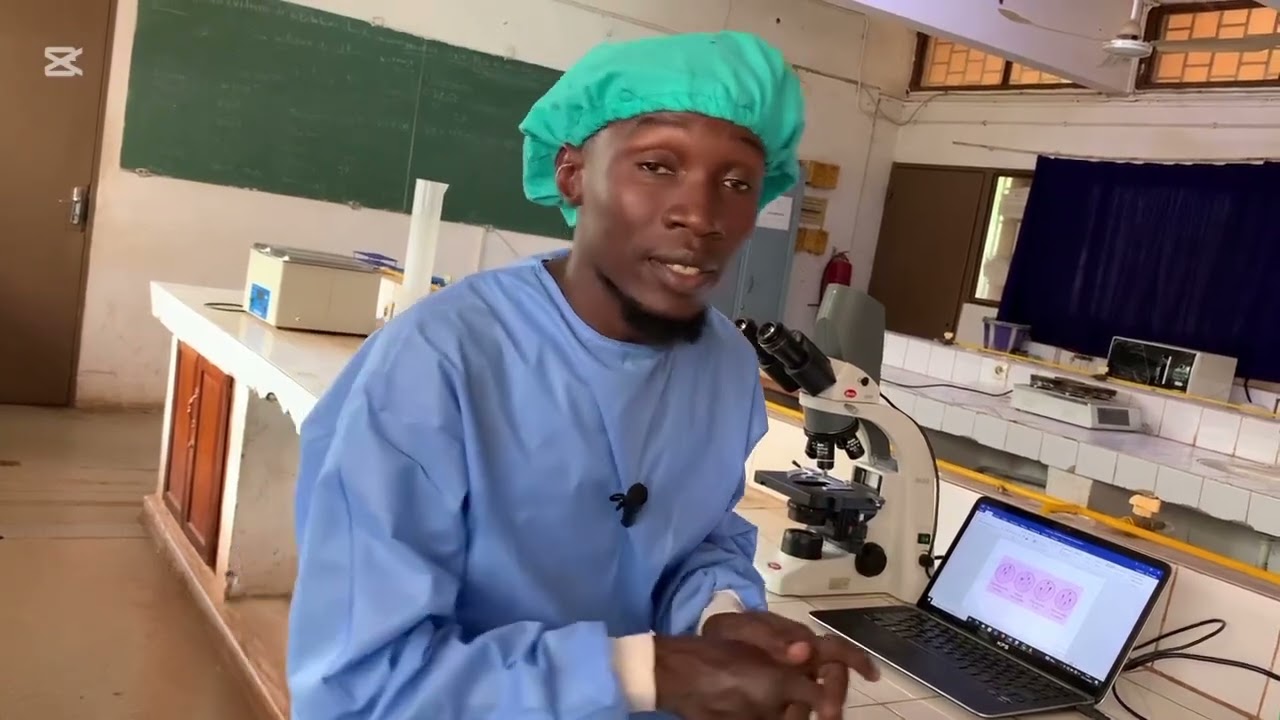 Morphologie des spermatozoïtes après la coloration de RAL 