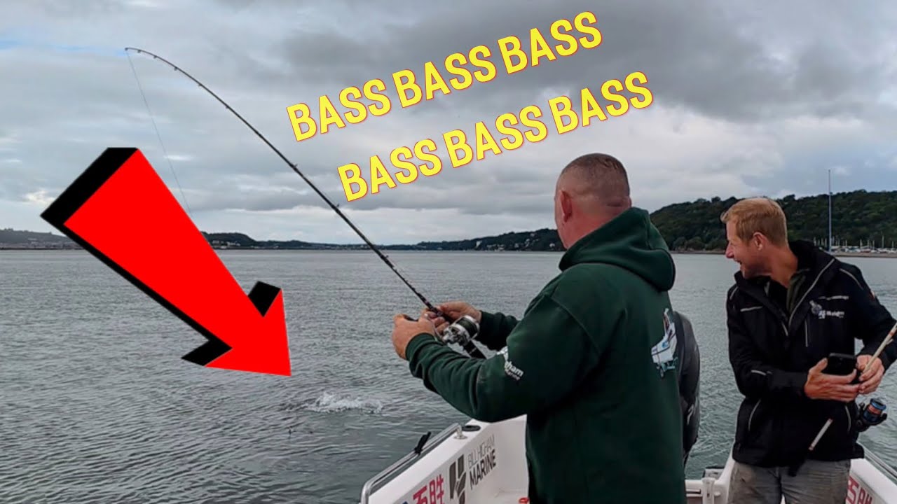 How many bass can we catch, uk sea fishing . North wales sea fishing 