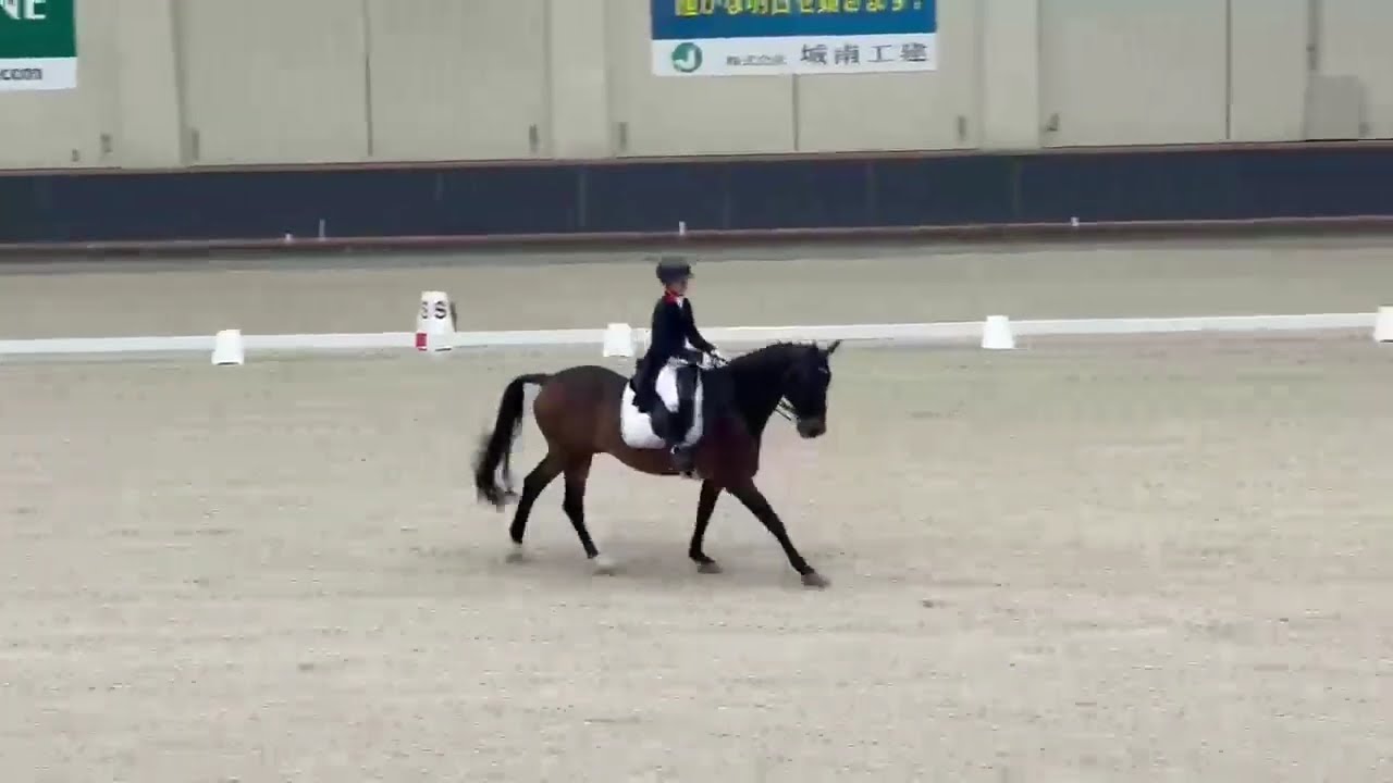 全日本学生馬術大会2025　第68回全日本学生賞典馬場馬術競技大会　決勝　4年　奥田記枝　桜蝶