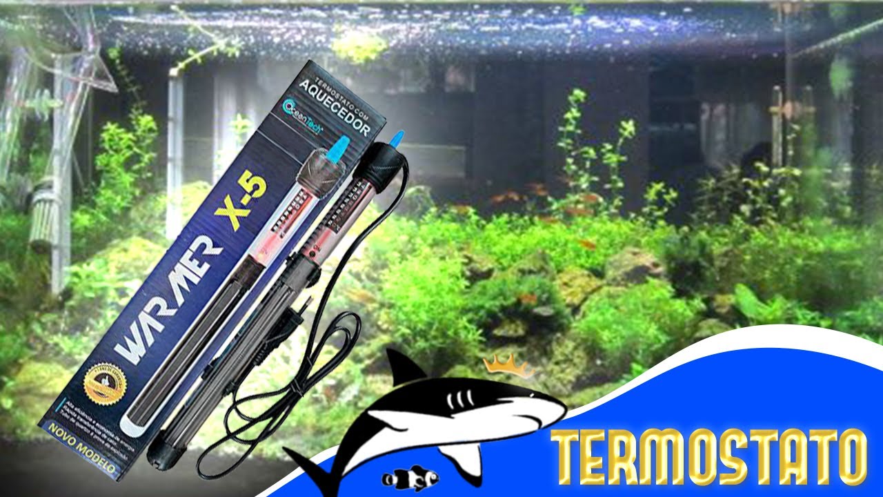 TERMOSTATO AQUARIO #REIDOSAQUARIOS