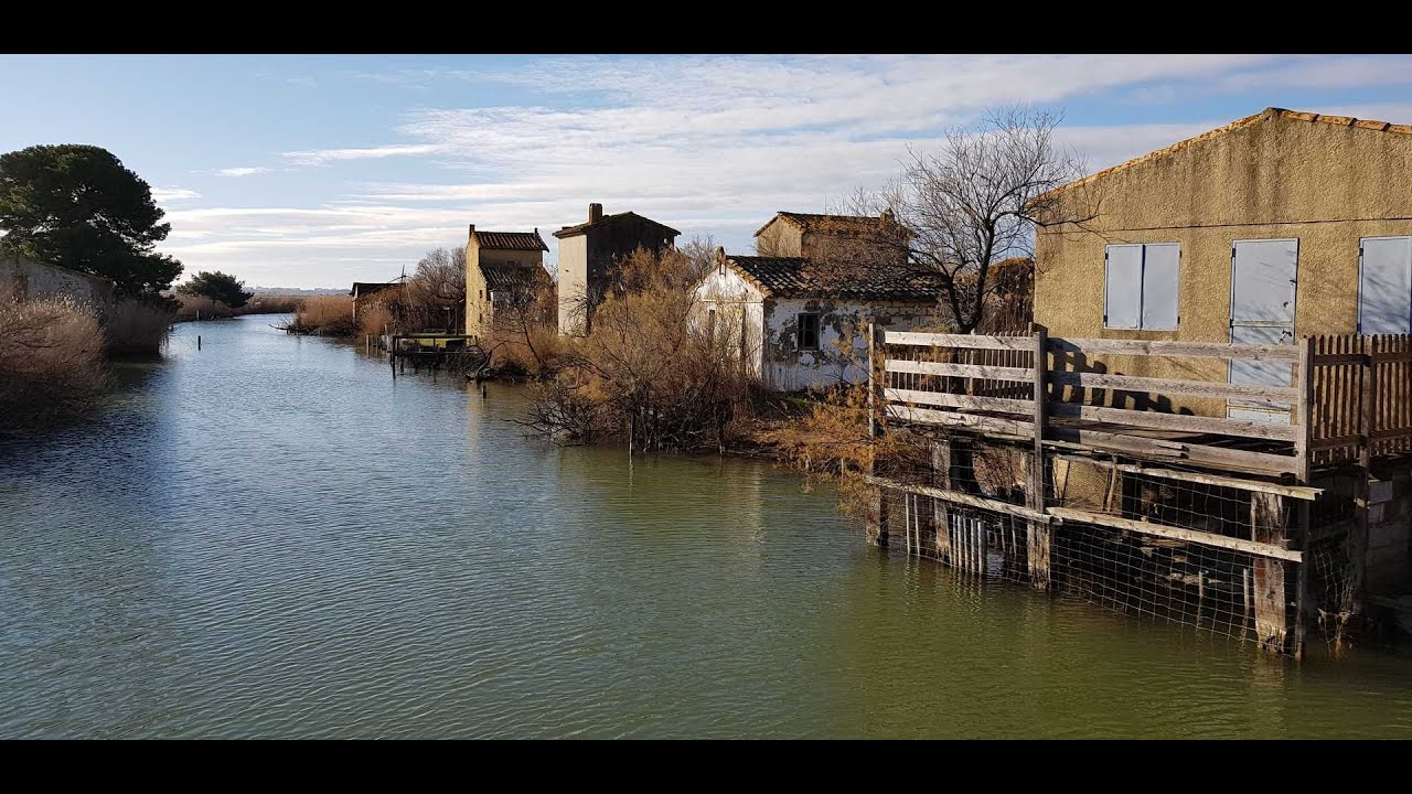 Cabanes de Lansargues - Etang de L'Or