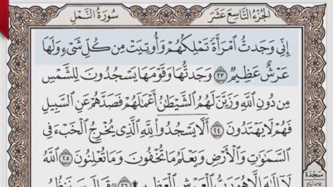 القرآن الكريم بالصفحات صوت وصورة ص/ 379 الشيخ محمود خليل الحصري بمد المنفصل