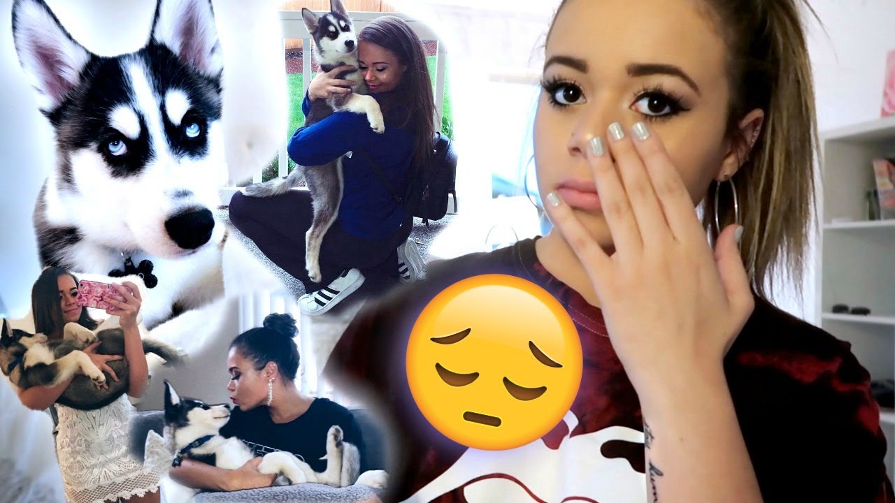 Where Did My Dog Theo Go?? | HeyItsSarai