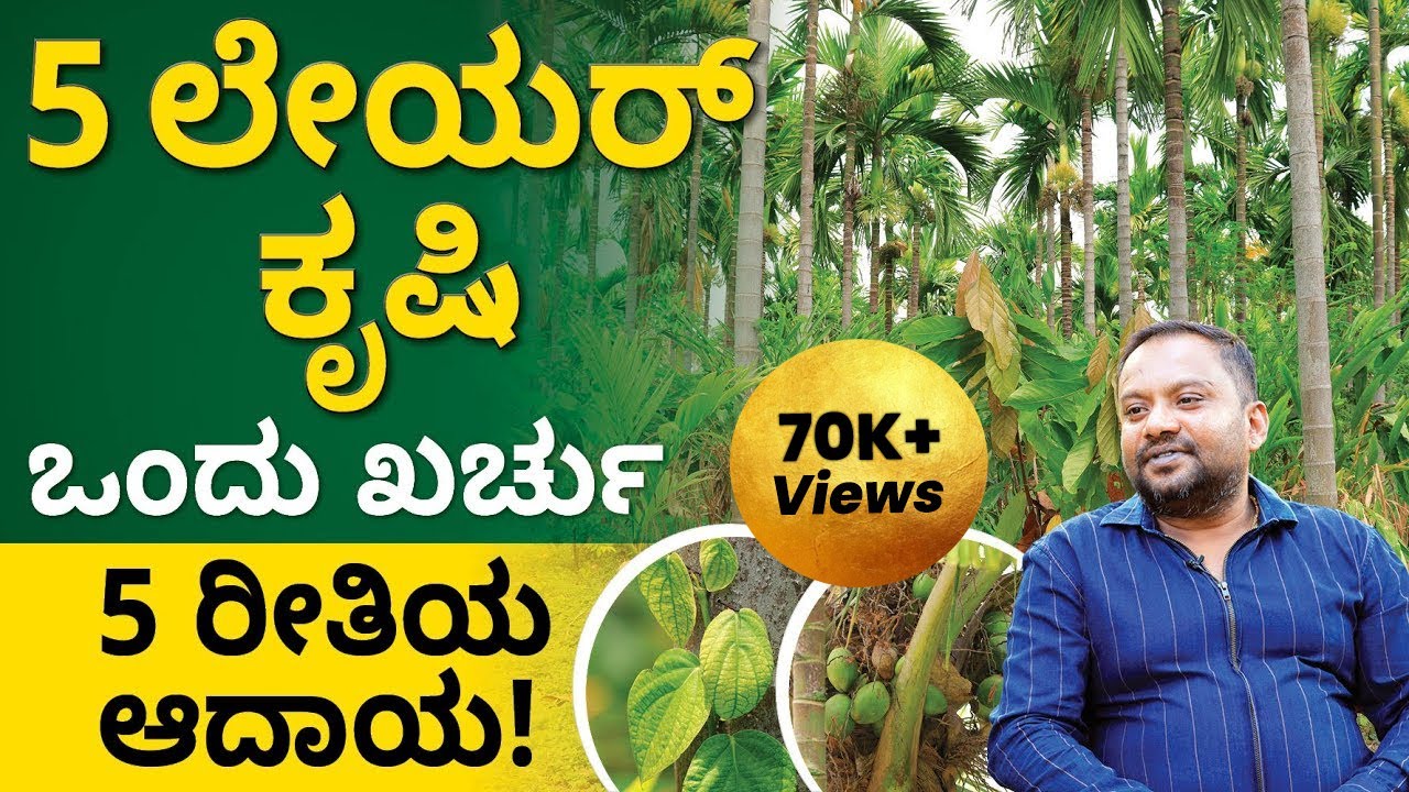 5 Layer Farming in Kannada - What is 5 Layer Farming? | 5 Layer Method Cultivation | Abhishek