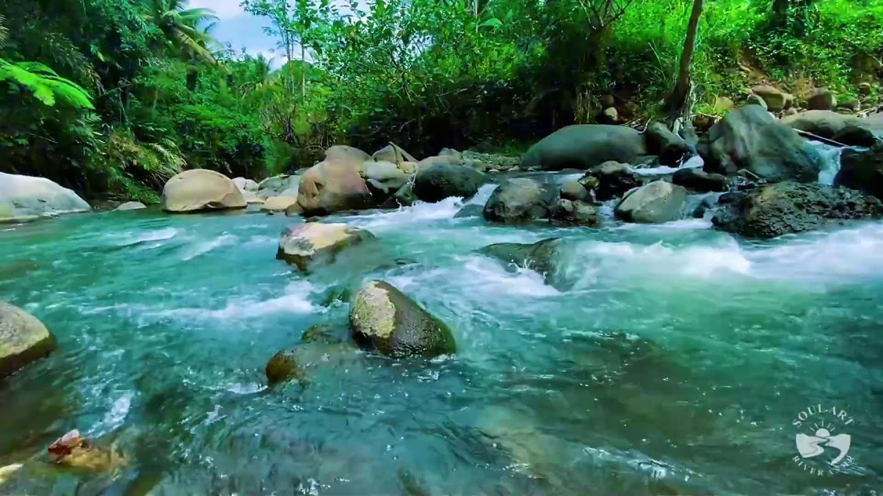 River Sounds for Sleeping All Night Calm River Water Ambience for Deep Relaxation