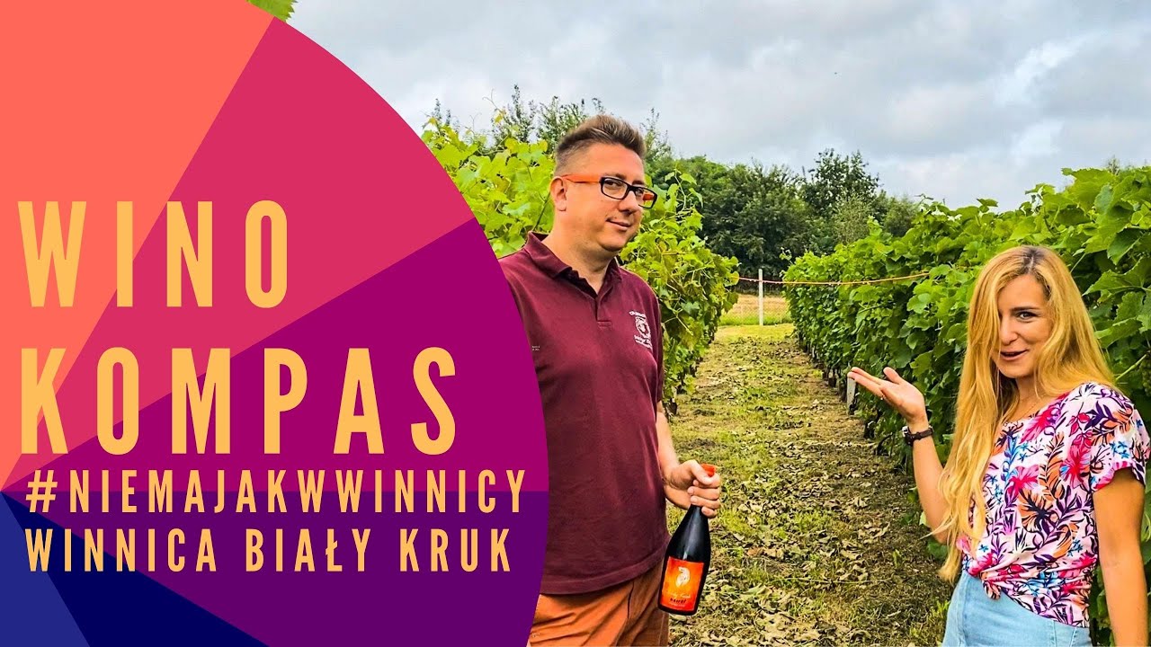 #NIEMAJAKWWINNICY - WINNICA BIAŁY KRUK