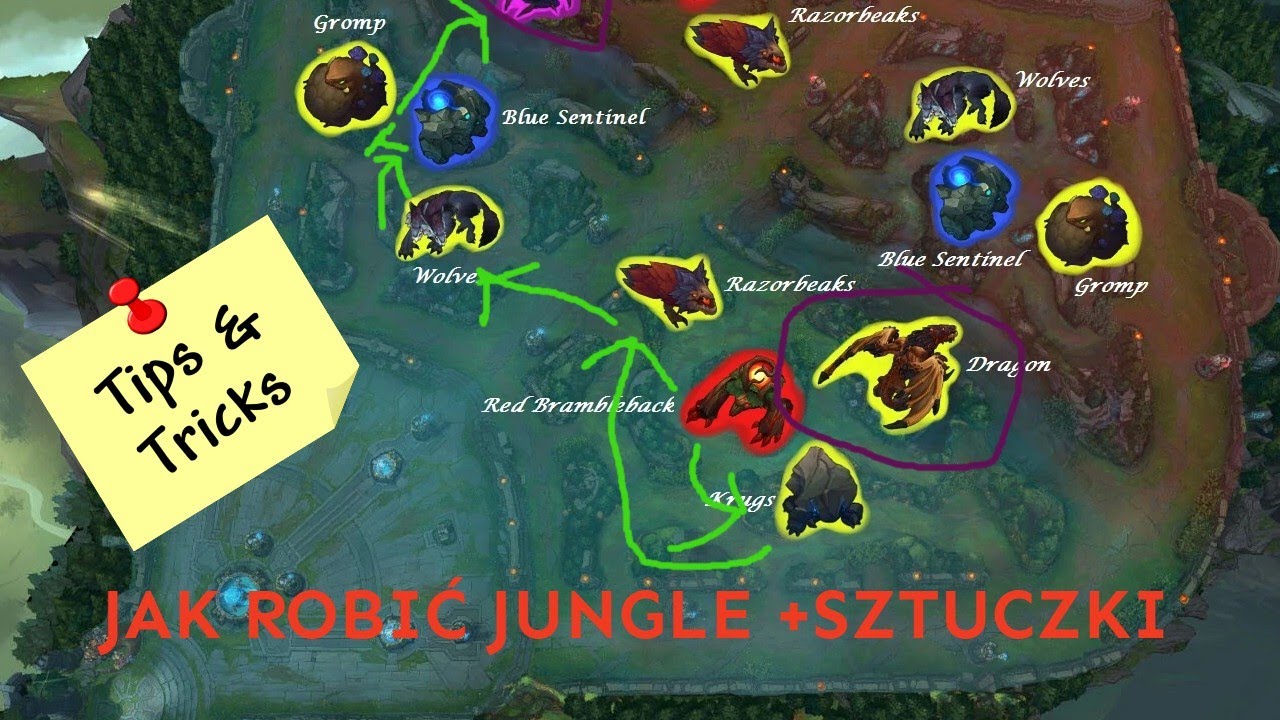 Jak robić jungle *PORADY+SZTUCZKI*