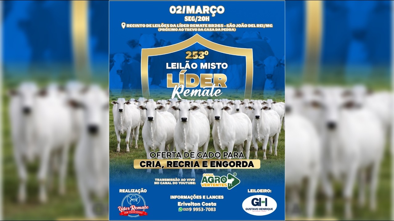 253º LEILÃO MISTO LÍDER REMATE - SÃO JOÃO DEL REI/MG - 02/02/2026