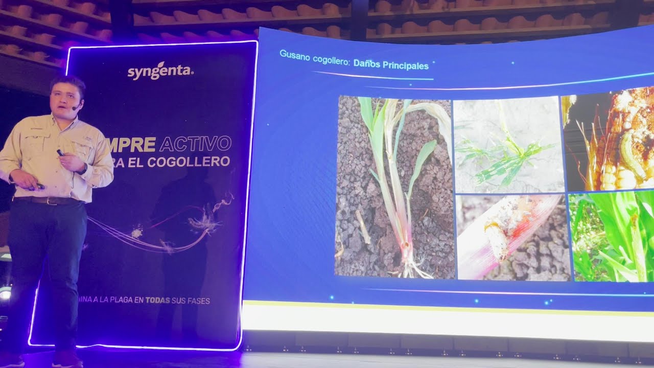 Syngenta lanza CURYOM® FIT para el control de Lepidópteros